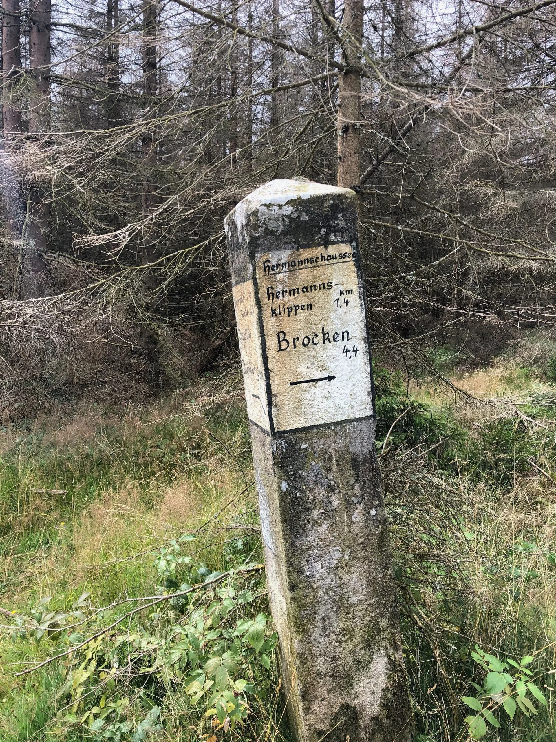 © DAV LV Sachsen-Anhalt